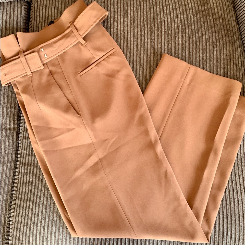 Aritzia Babaton jermaine pants